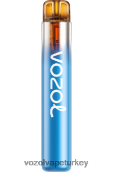 VOZOL Vape Review - VOZOL NEON 800 orman meyvesi fırtınası F8JX24270