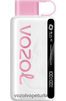 VOZOL Vape Turkey - VOZOL STAR 9000/12000 şeftalili buz F8JX2445